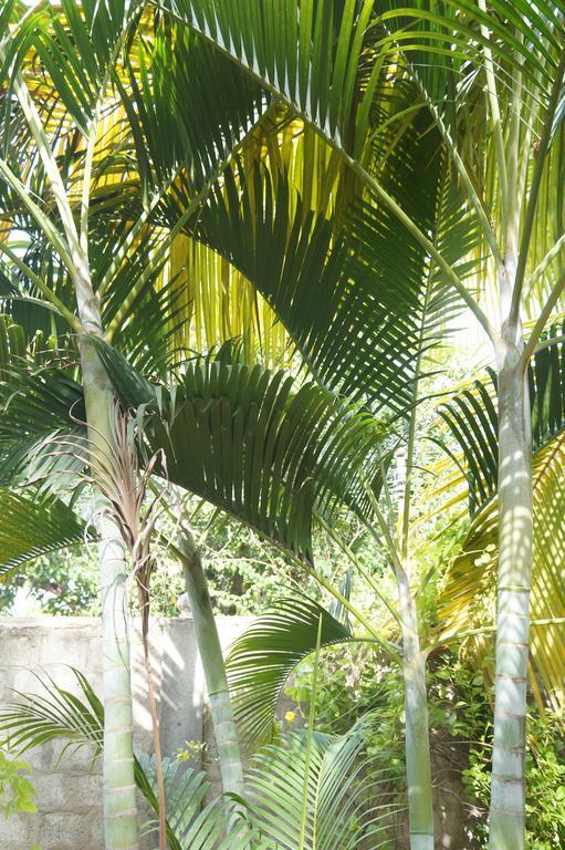 Little White House Hotel Trincomalee Esterno foto